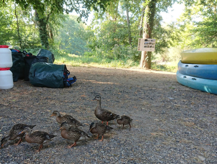 Activité de loisirs en Ile de France